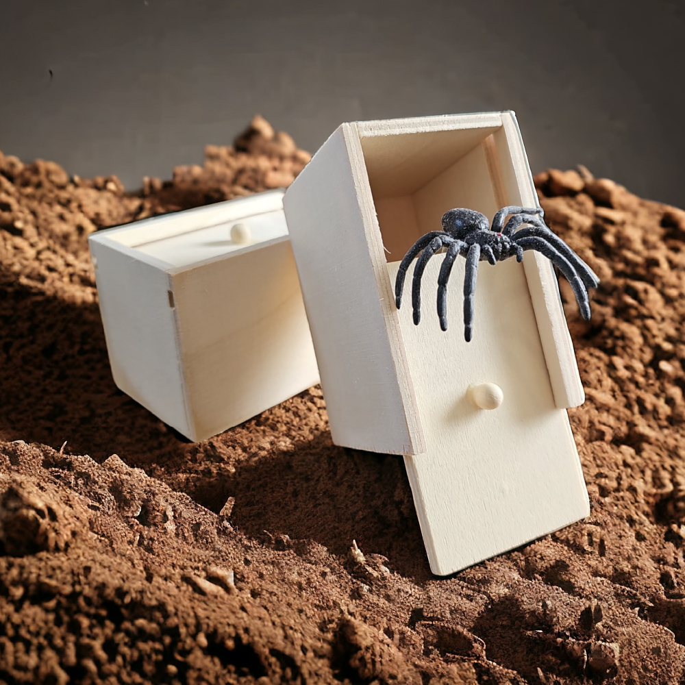 Spider in a box in the dirt