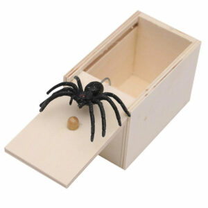 A funny and scary Spider in a box prank for just £7.99